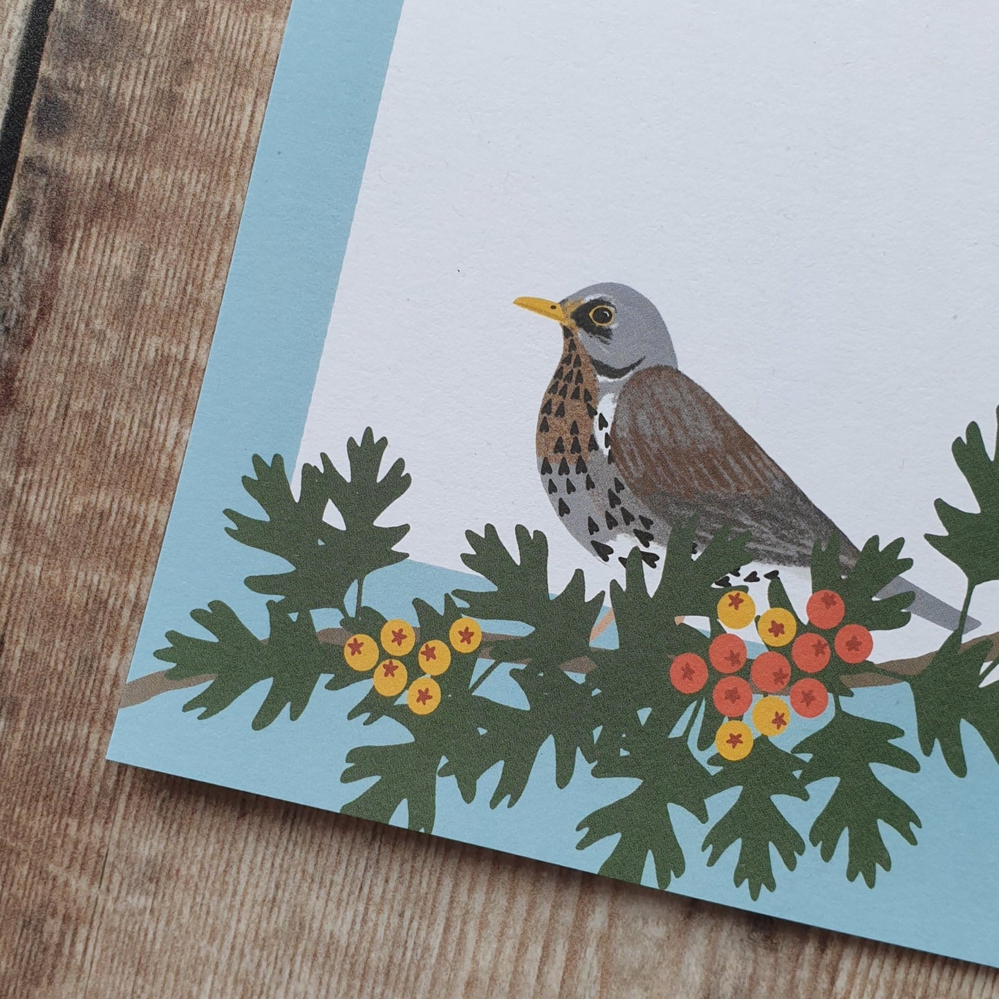 Redwing, Thrush and Fieldfare Mini Note Writing Set