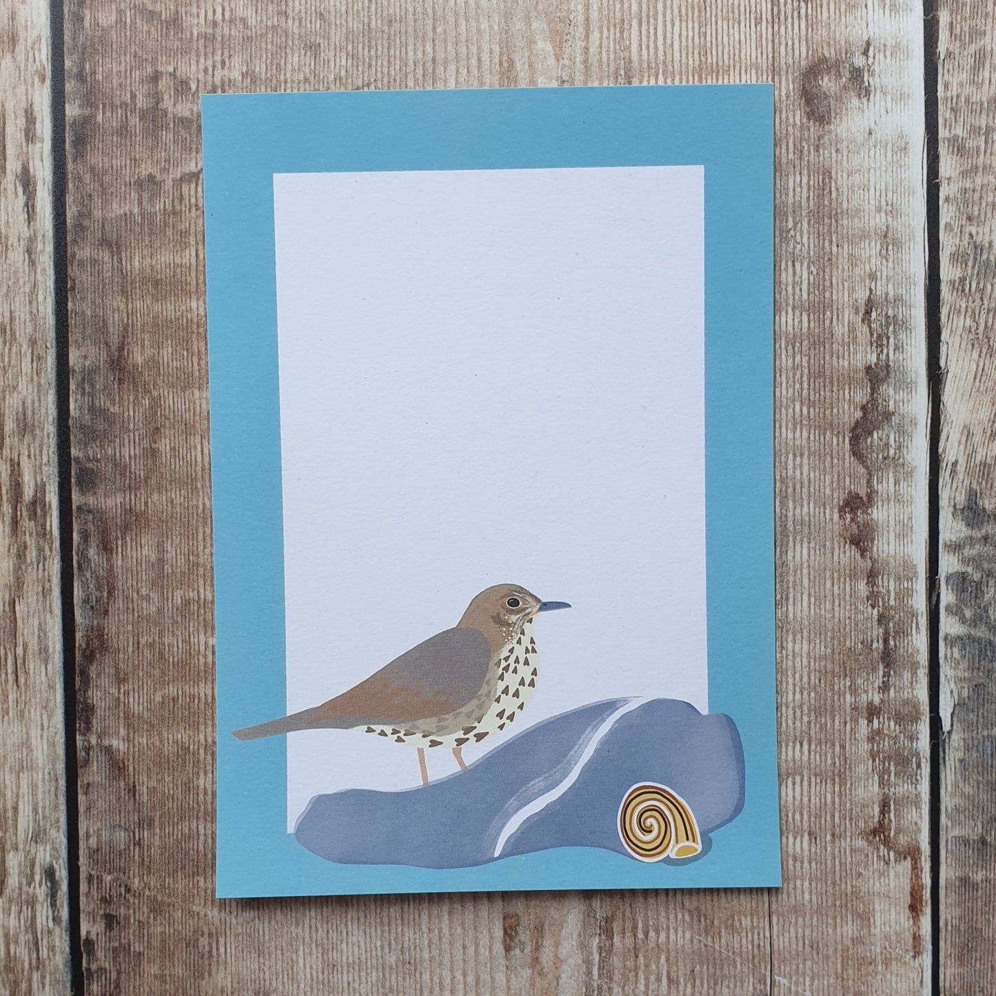 Redwing, Thrush and Fieldfare Mini Note Writing Set