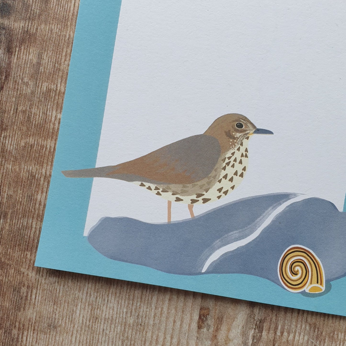 Redwing, Thrush and Fieldfare Mini Note Writing Set