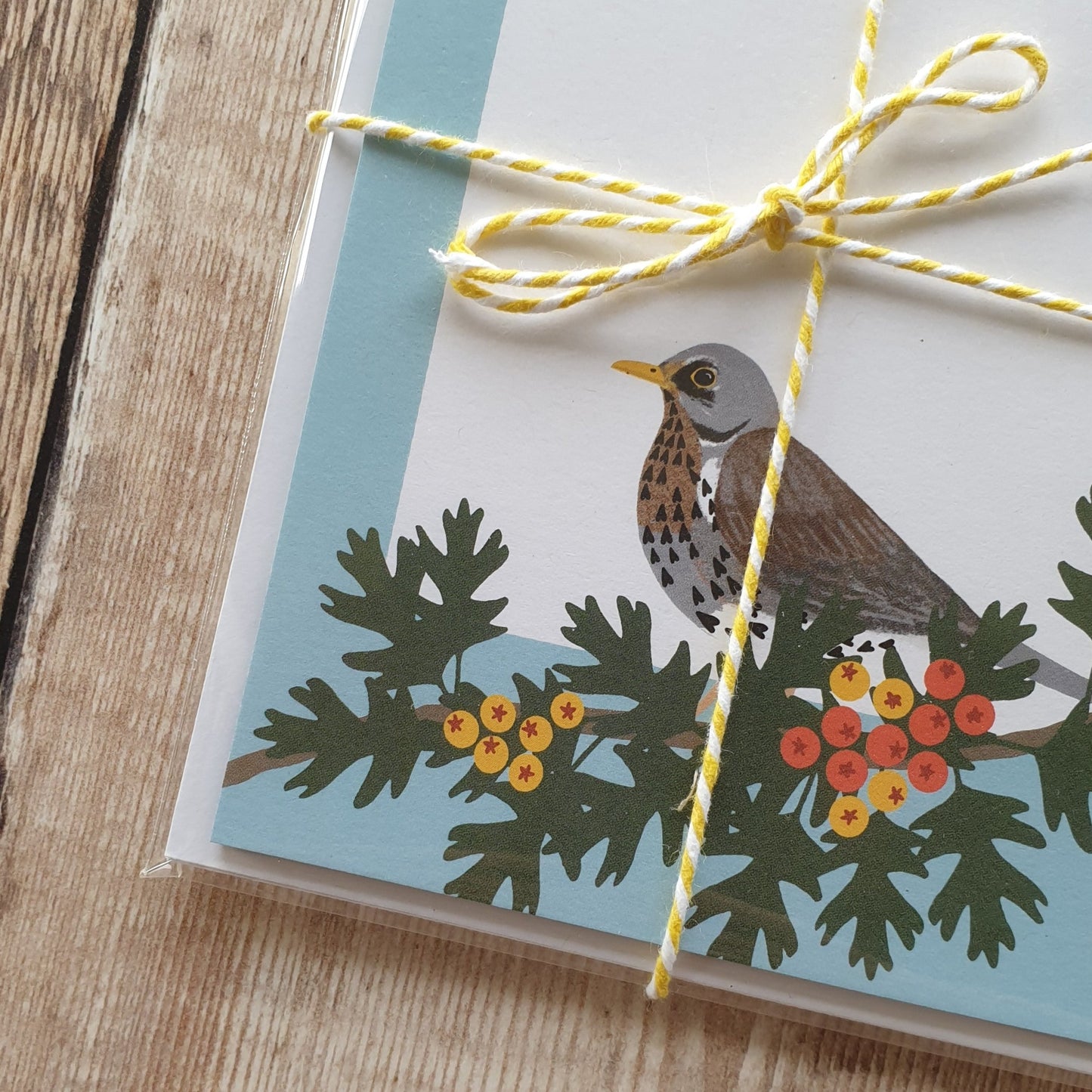 Redwing, Thrush and Fieldfare Mini Note Writing Set