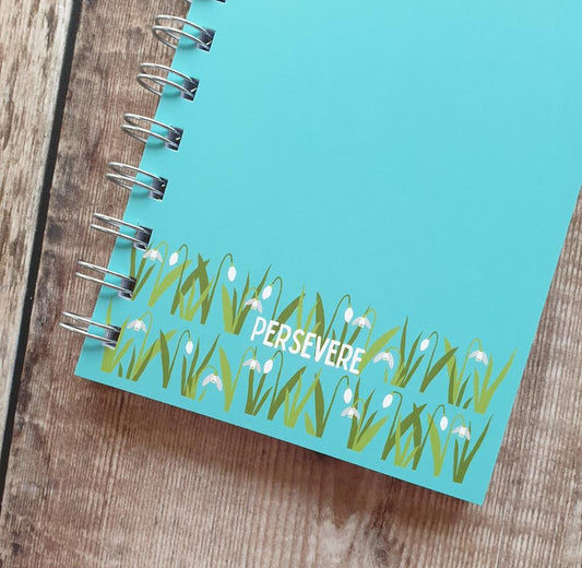 Persevere Notebooks