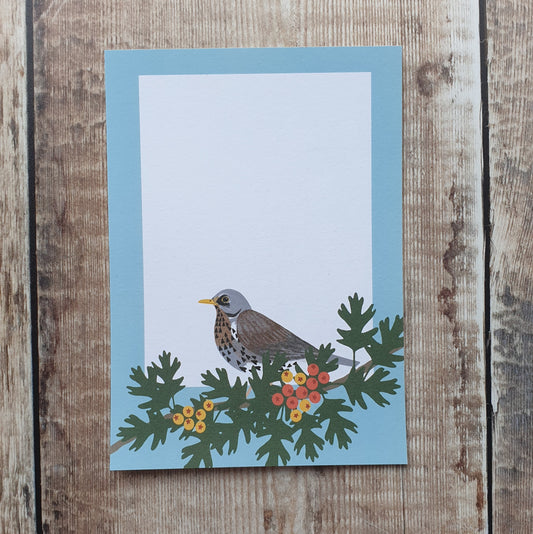 Thrushes Gift Notes - Set of 4