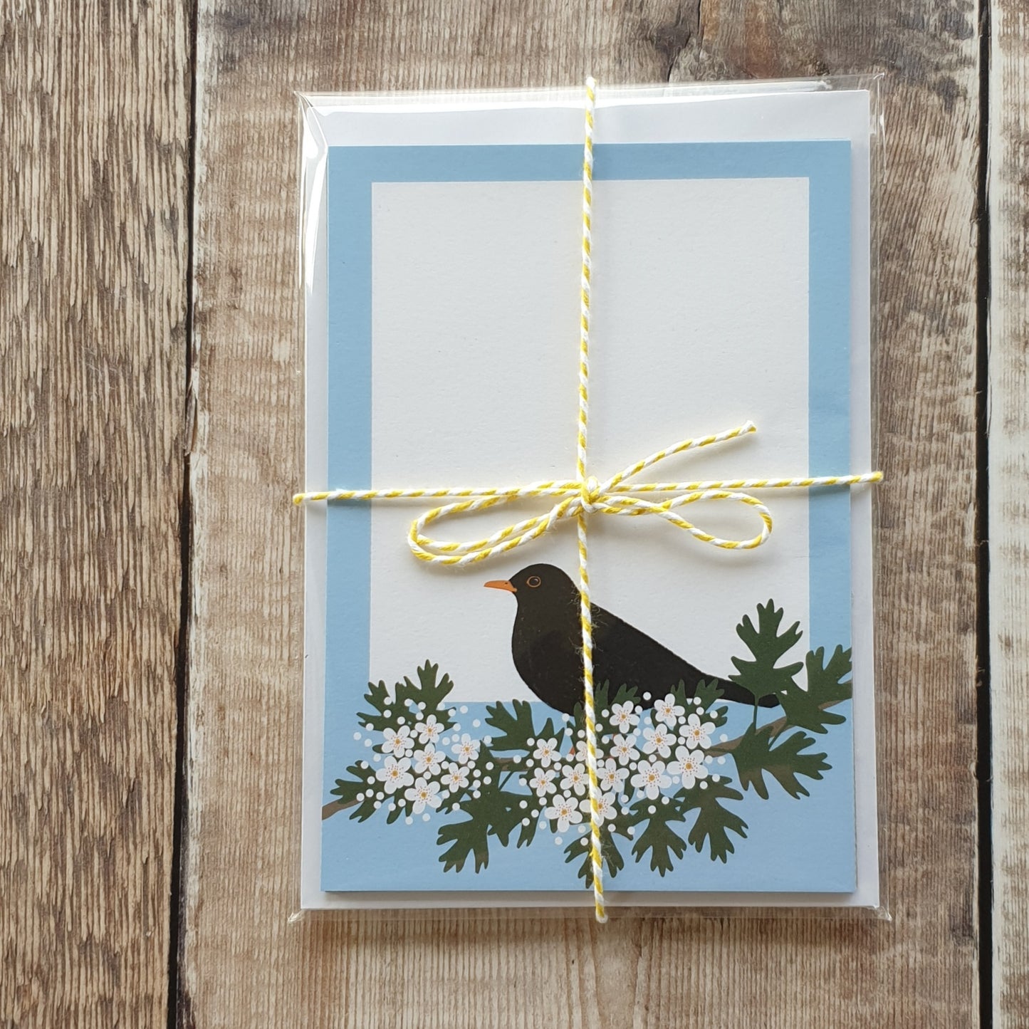 Blackbird and Blossom Mini Note Writing Set