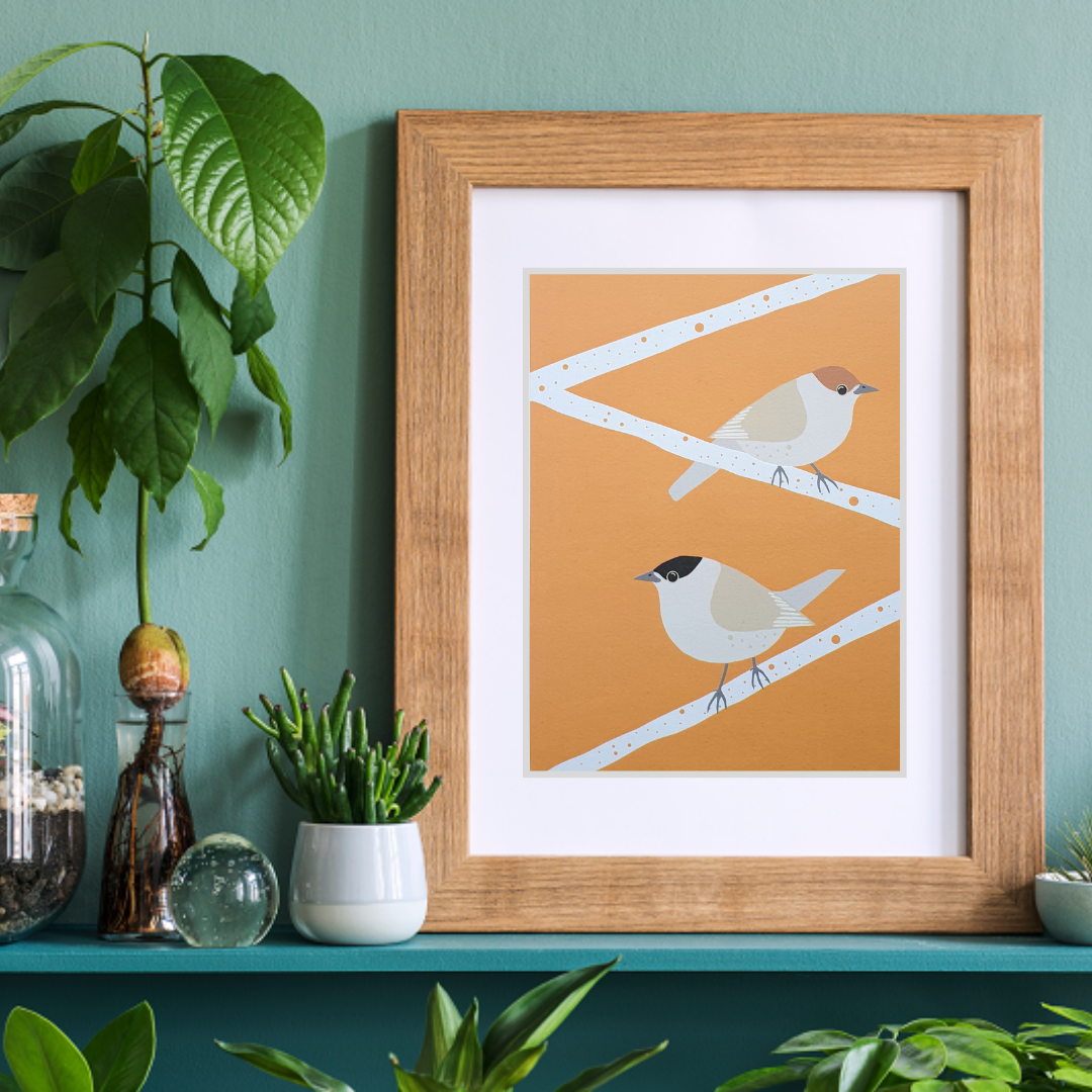Blackcap Bird Art Print