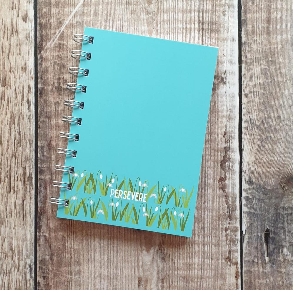 Persevere Notebooks