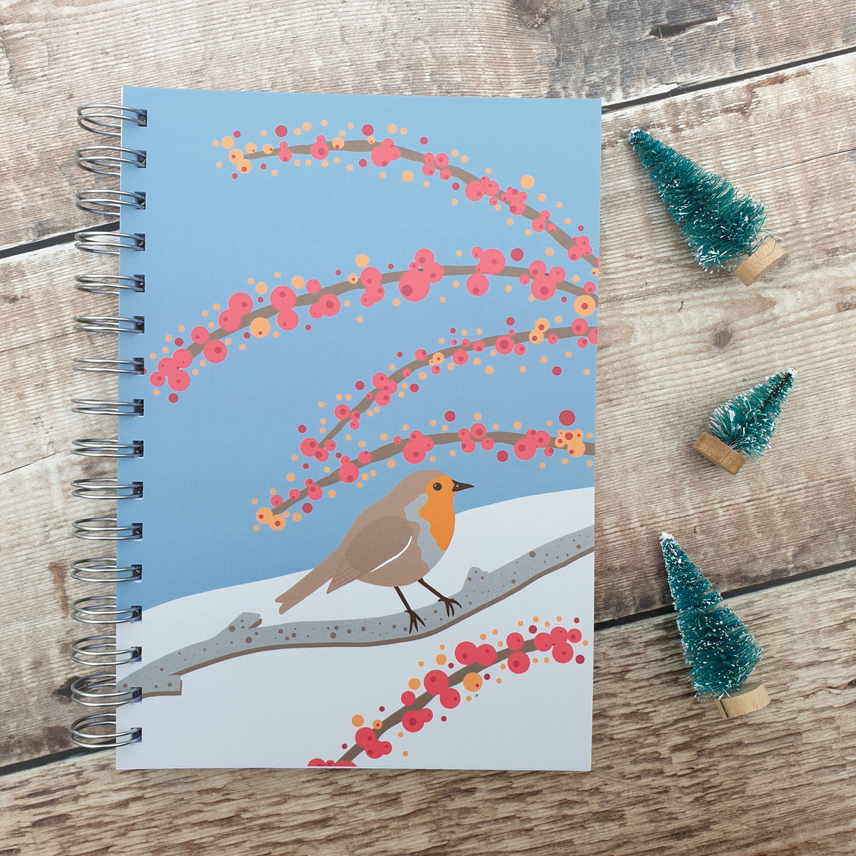 Robin in the Snow Notebooks