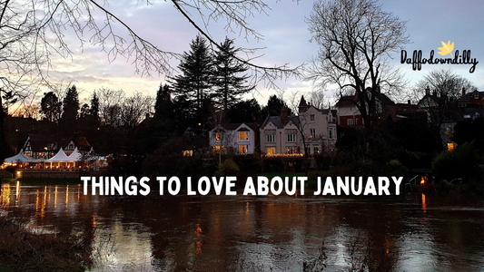 Things to Love About January - updated for 2026