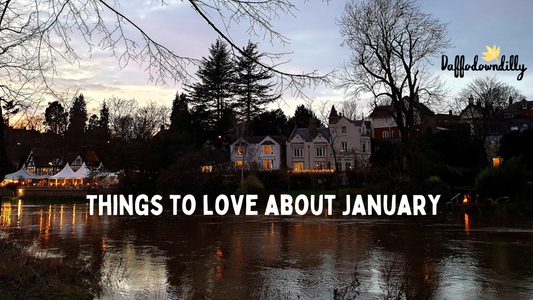 Things to love about January