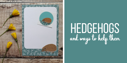 Hedgehogs and ways to help them