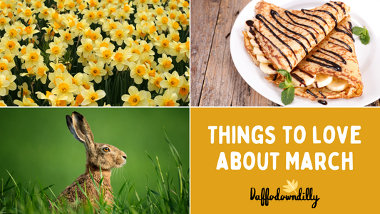 Things To Love About March