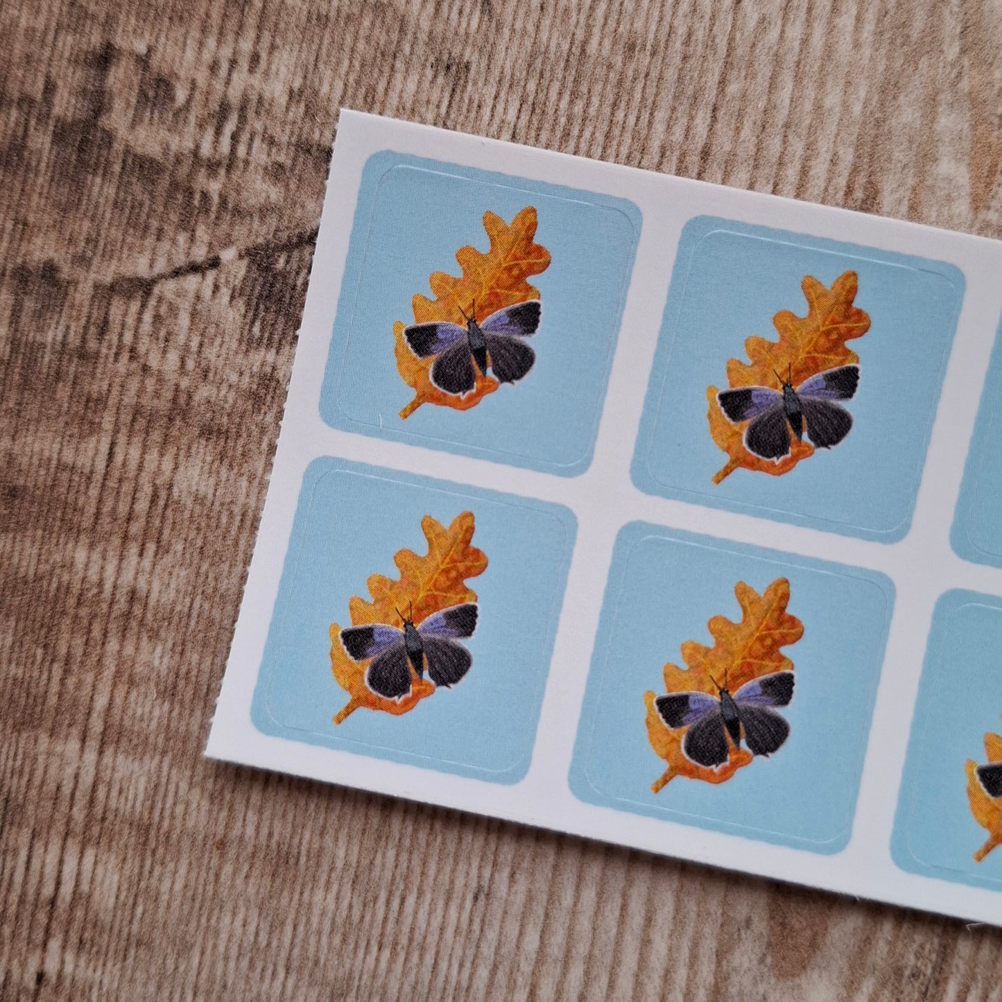 Oak Leaf and Purple Hairstreak Butterfly Envelope Stickers - Set of 6