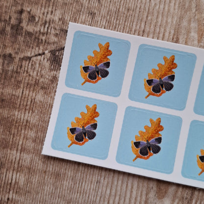 Oak Leaf and Purple Hairstreak Butterfly Envelope Stickers - Set of 6