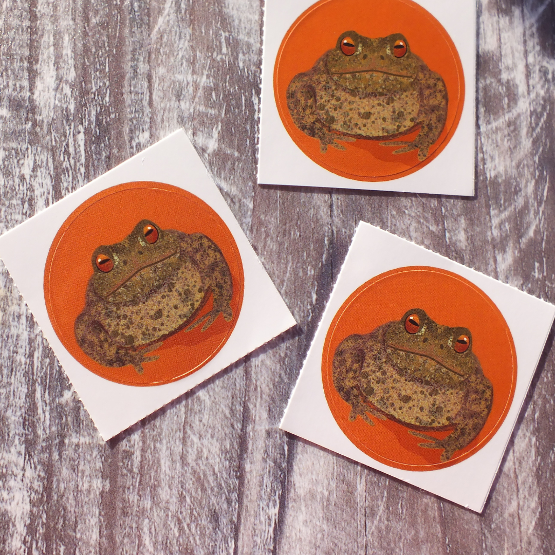 Toad 38mm Vinyl Sticker