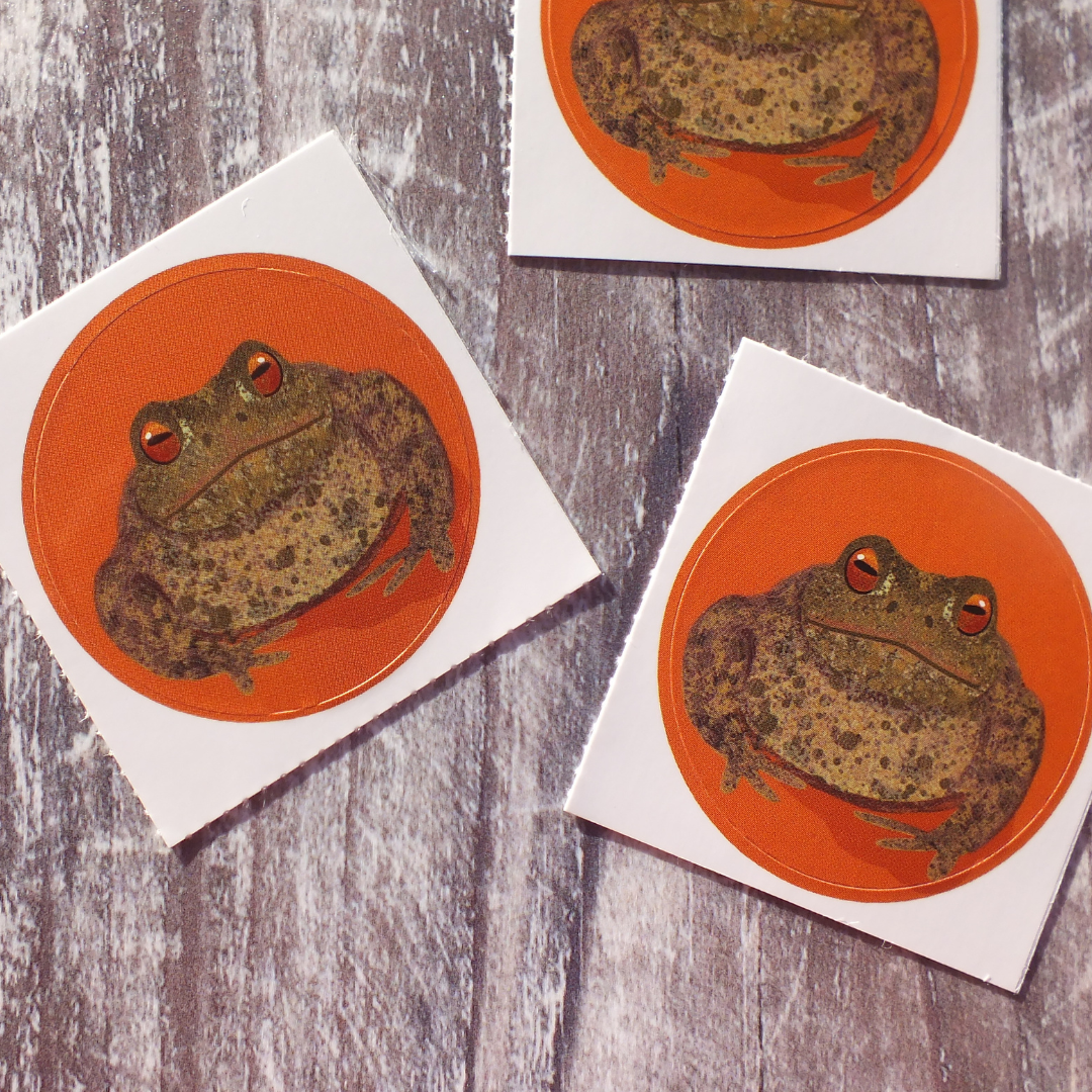 Toad 38mm Vinyl Sticker