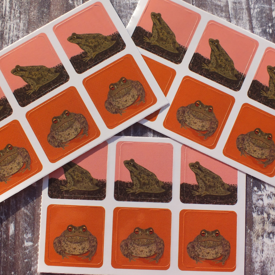 Frog and Toad Envelope Stickers - Set of 6
