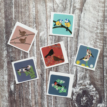 Birds Set 1 Envelope Sticker Collection - 24 stickers