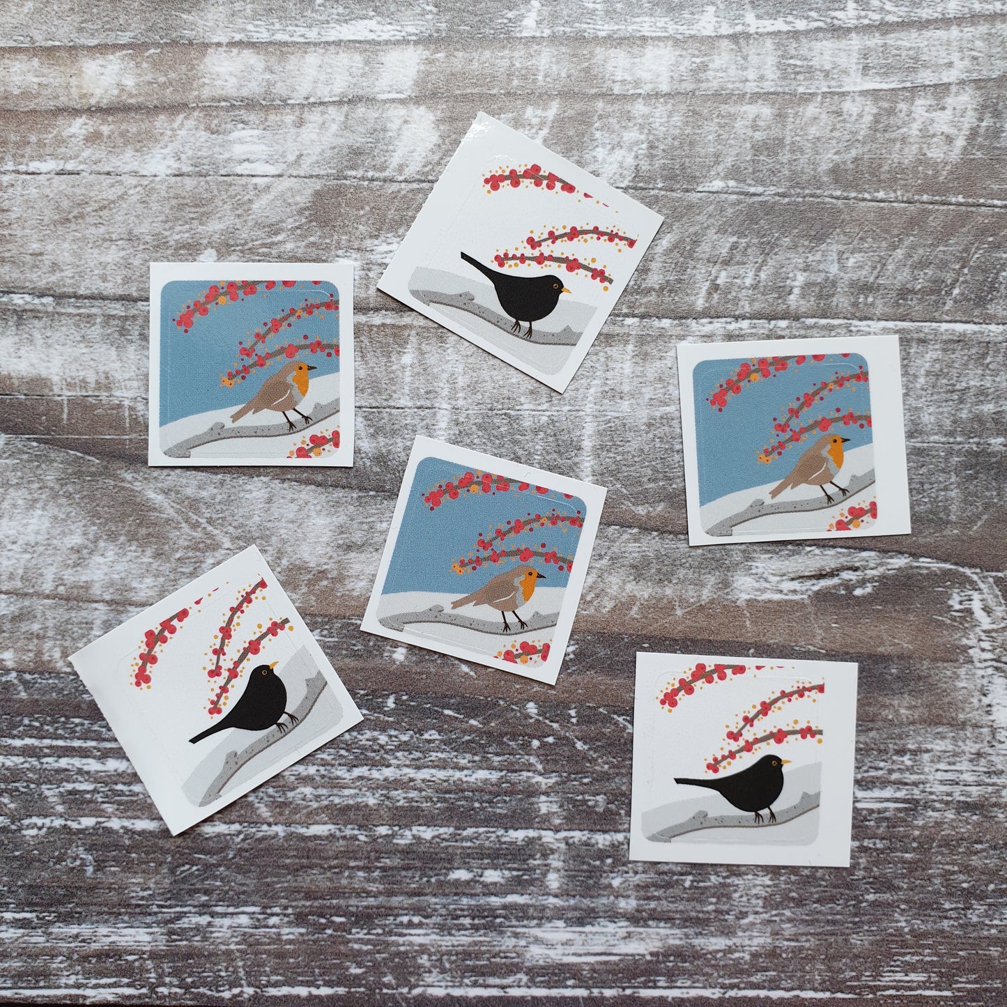 Birds Set 4 Envelope Sticker Collection - 24 stickers