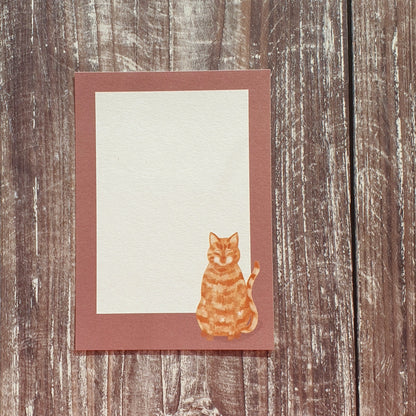 Cats Gift Notes