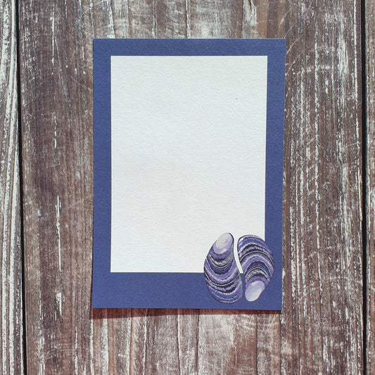 Mussel Shells Gift Notes - Set of 4