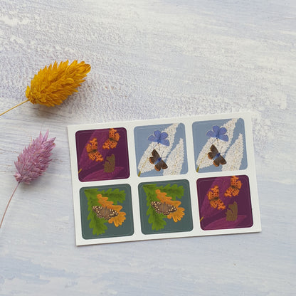 Butterflies Envelope Stickers - Set of 6