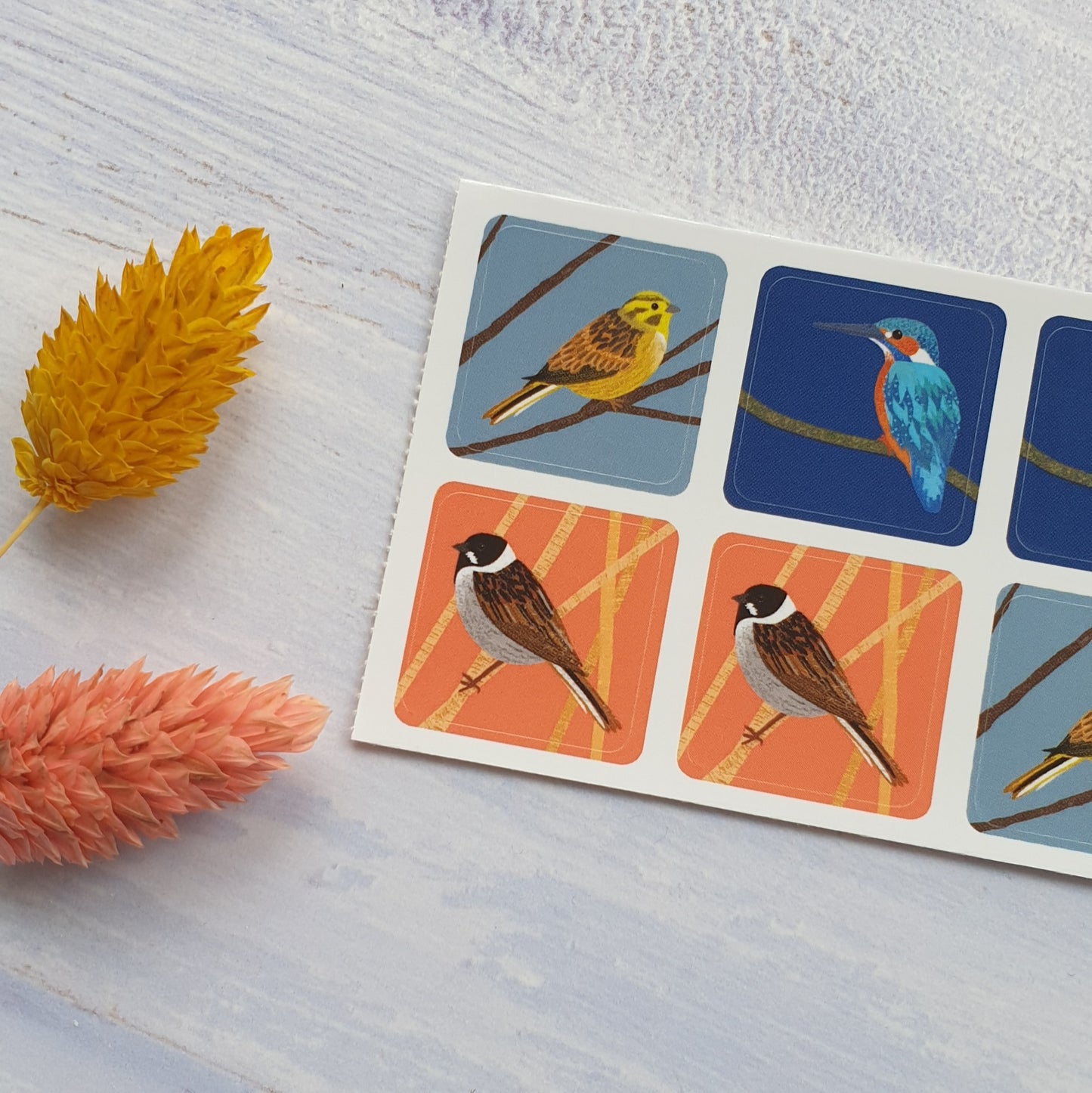 More Birds Envelope Stickers - Set of 6