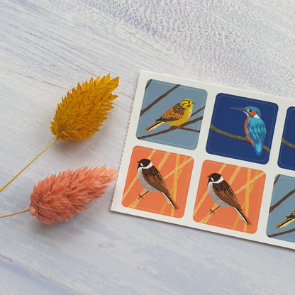 More Birds Envelope Stickers - Set of 6
