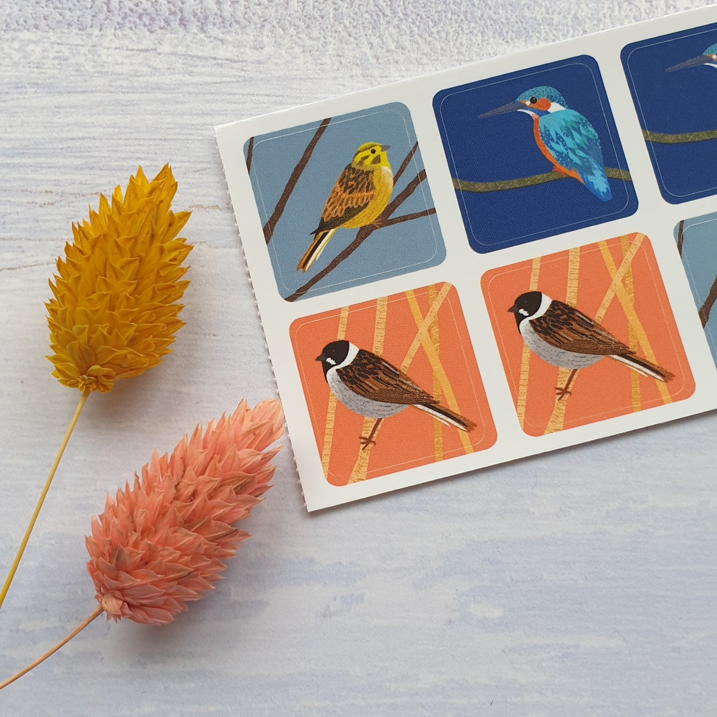 More Birds Envelope Stickers - Set of 6