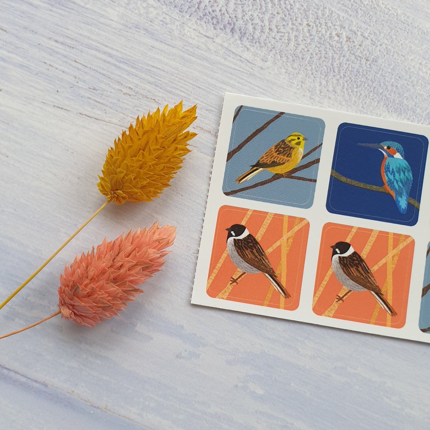 More Birds Envelope Stickers - Set of 6