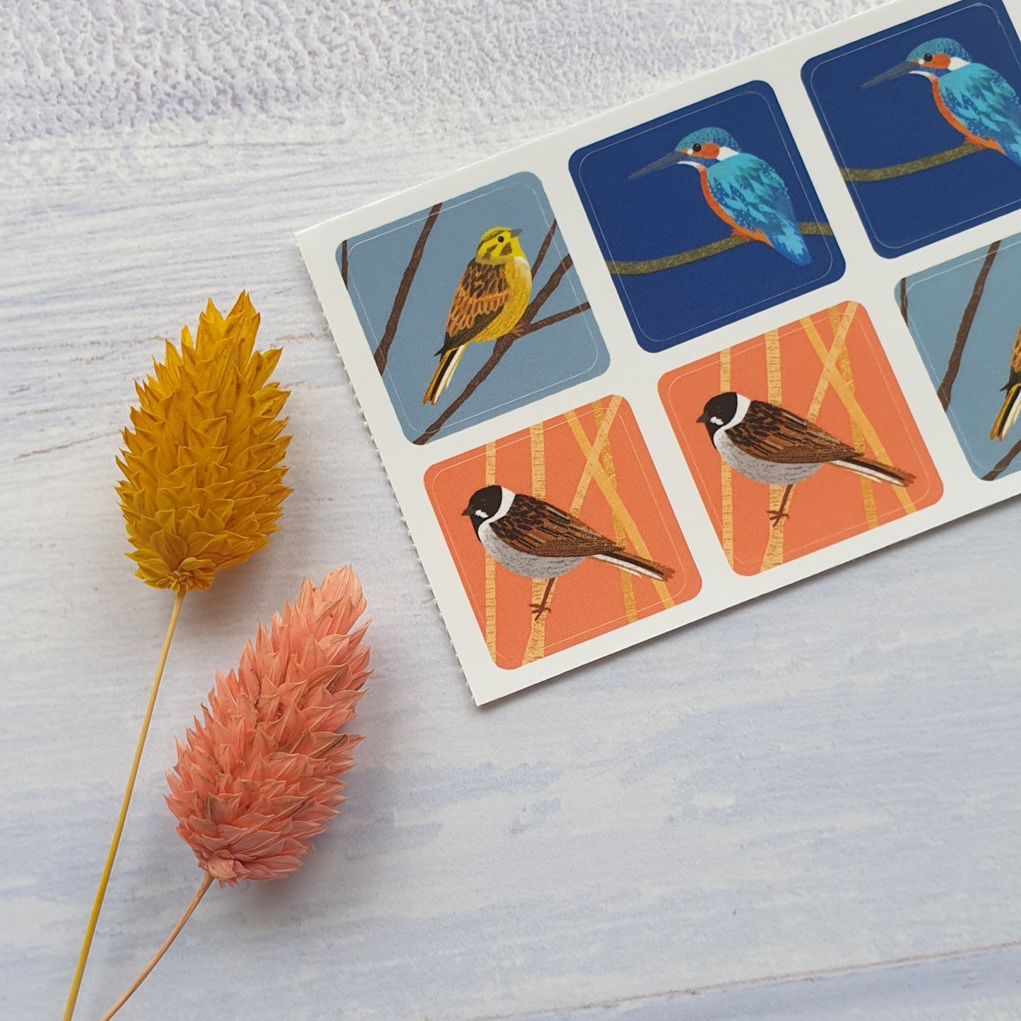 More Birds Envelope Stickers - Set of 6