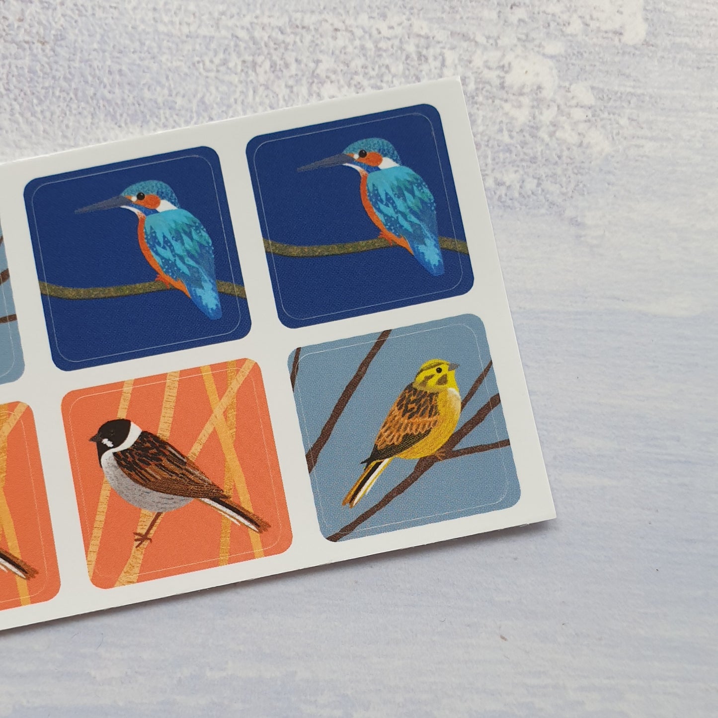 More Birds Envelope Stickers - Set of 6