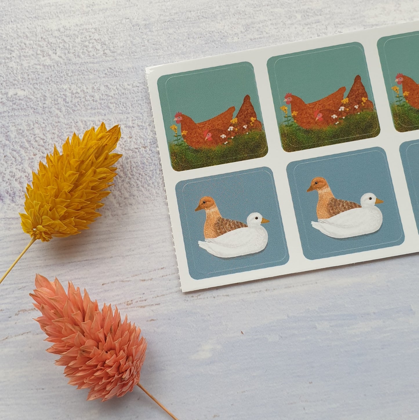 Hens and Call Ducks Envelope Stickers - Set of 6