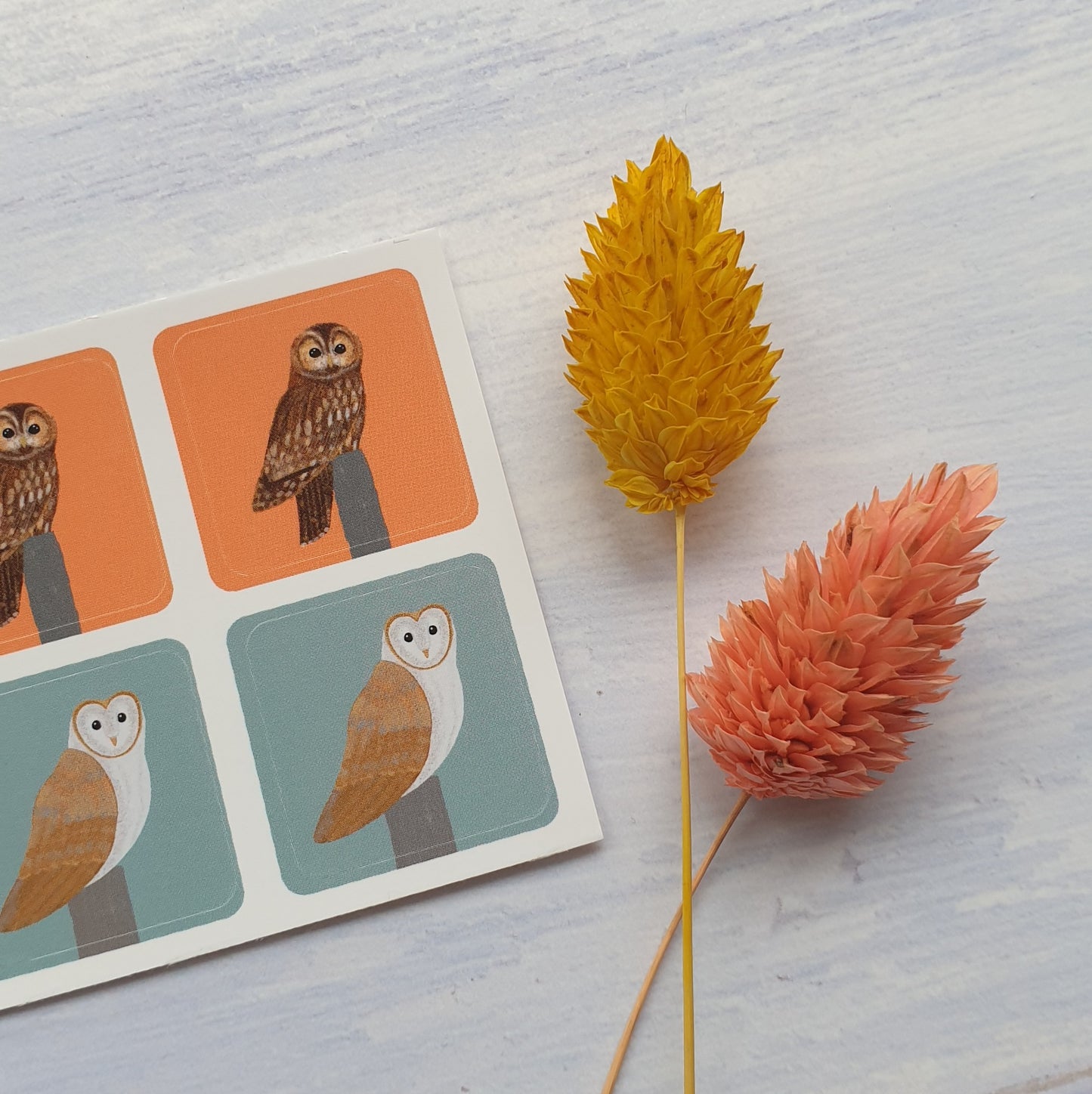 Owl Envelope Stickers - Set of 6