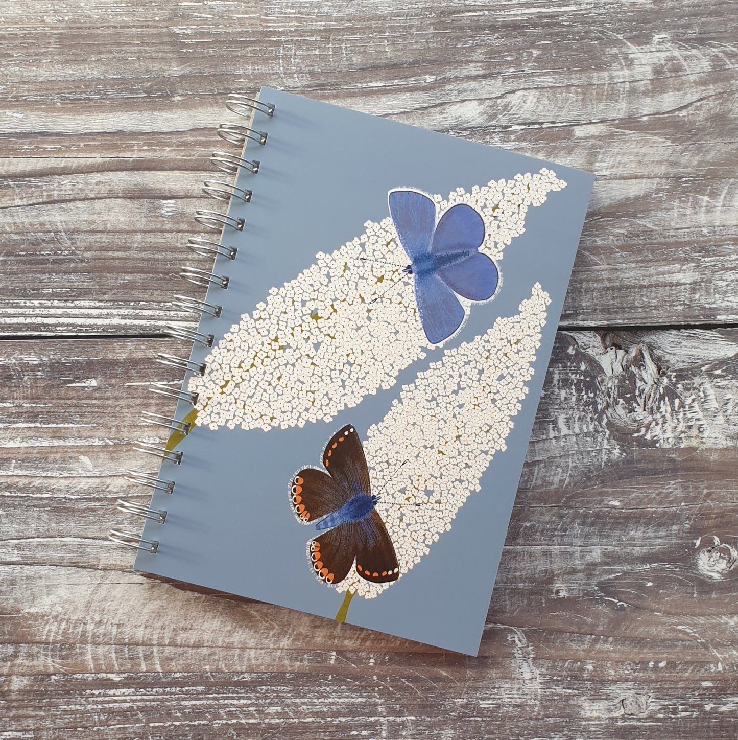 Common Blue Butterfly Notebook