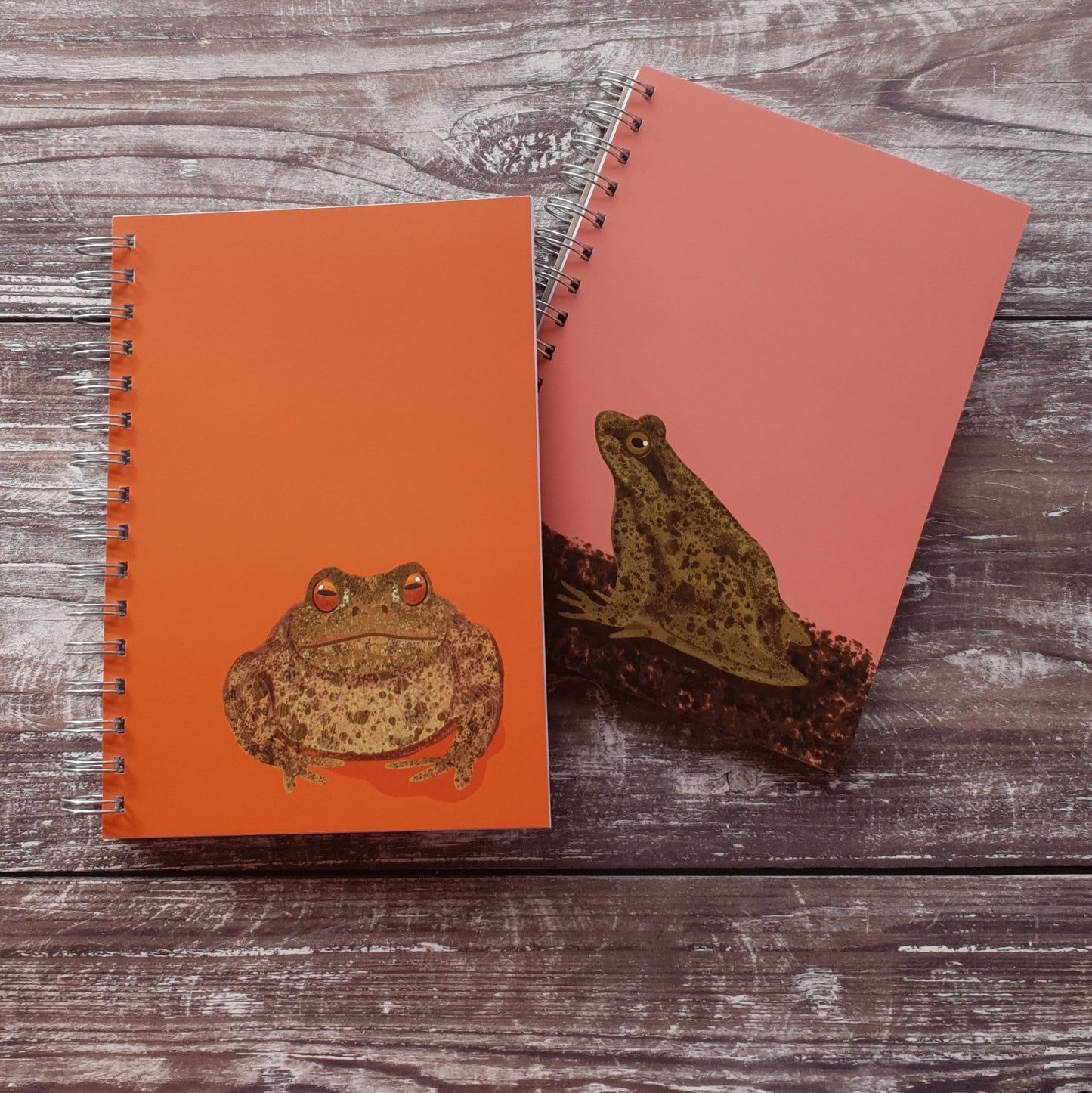 Frog Notebook