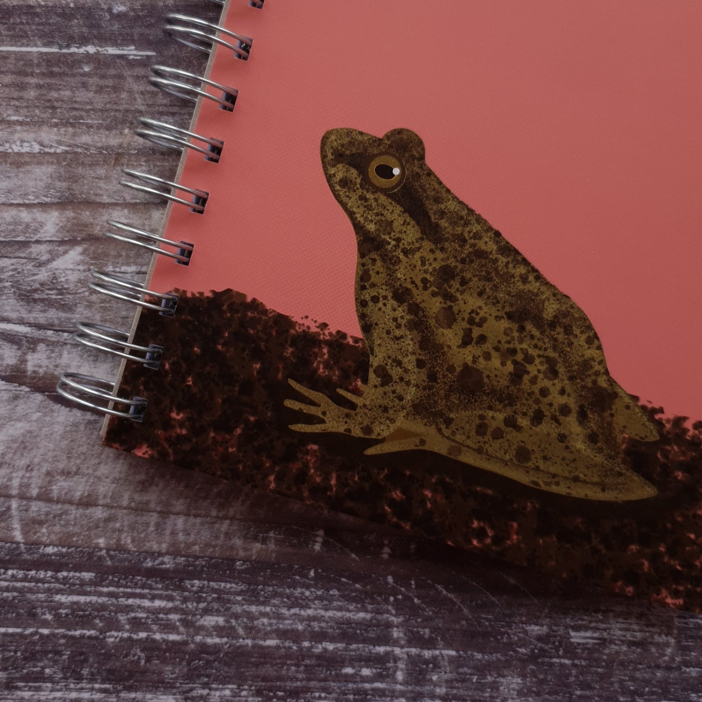 Frog Notebook