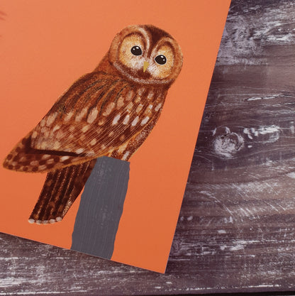 Tawny Owl Notebook