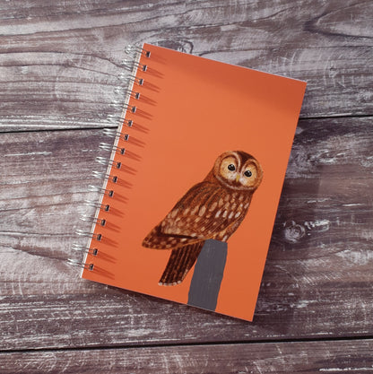 Tawny Owl Notebook