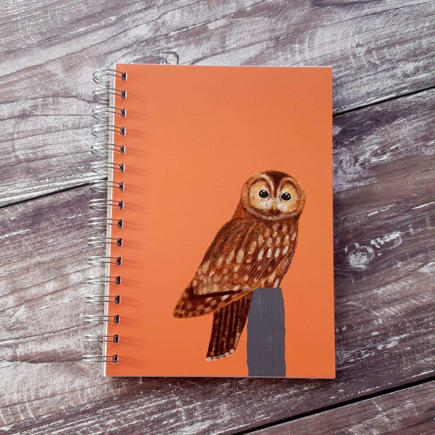 Tawny Owl Notebook