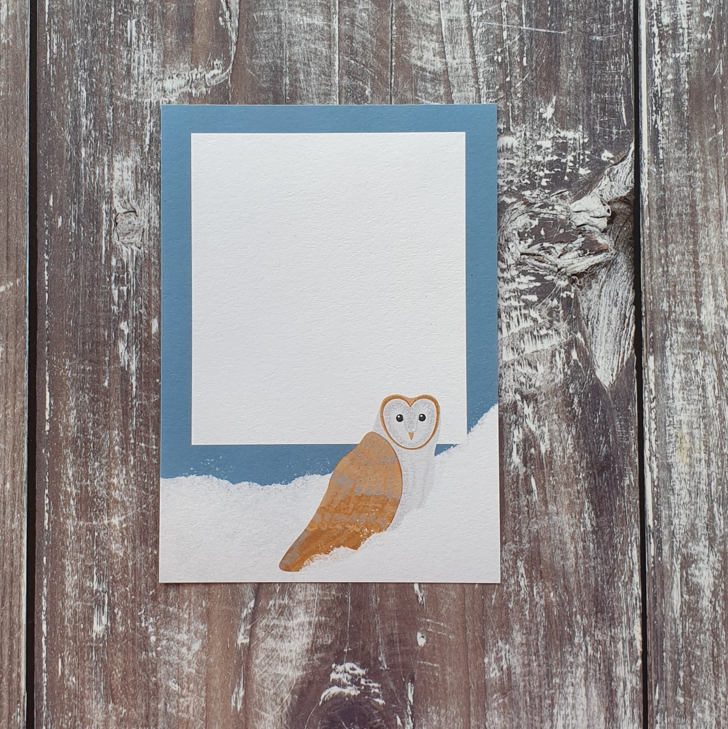Fox and Barn Owl in the Snow Gift Note Set