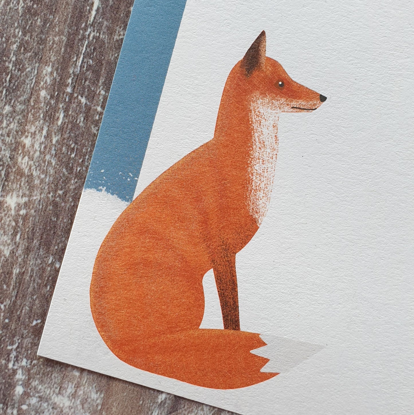 Fox and Barn Owl in the Snow Gift Note Set