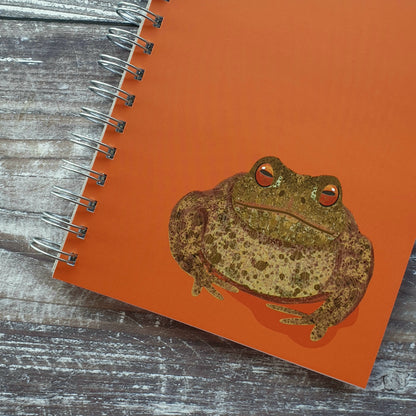 Toad Notebook
