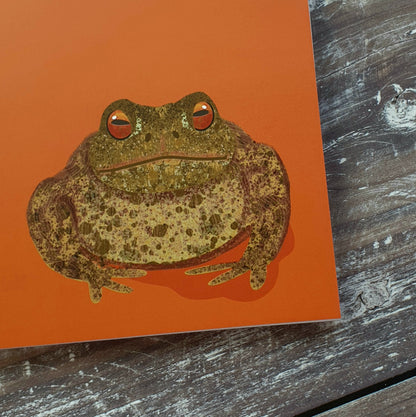 Toad Notebook