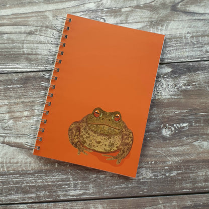 Toad Notebook