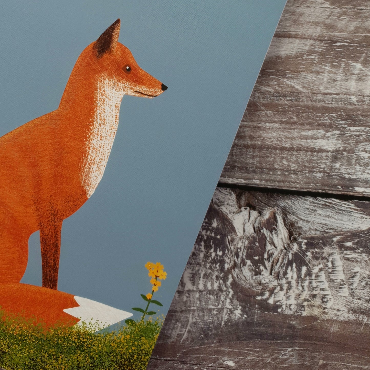 Meadow Fox Notebook