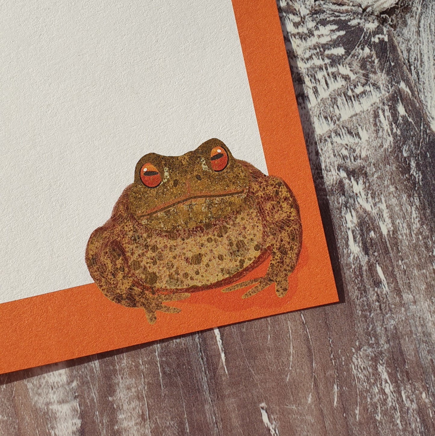 Frog and Toad Gift Notes