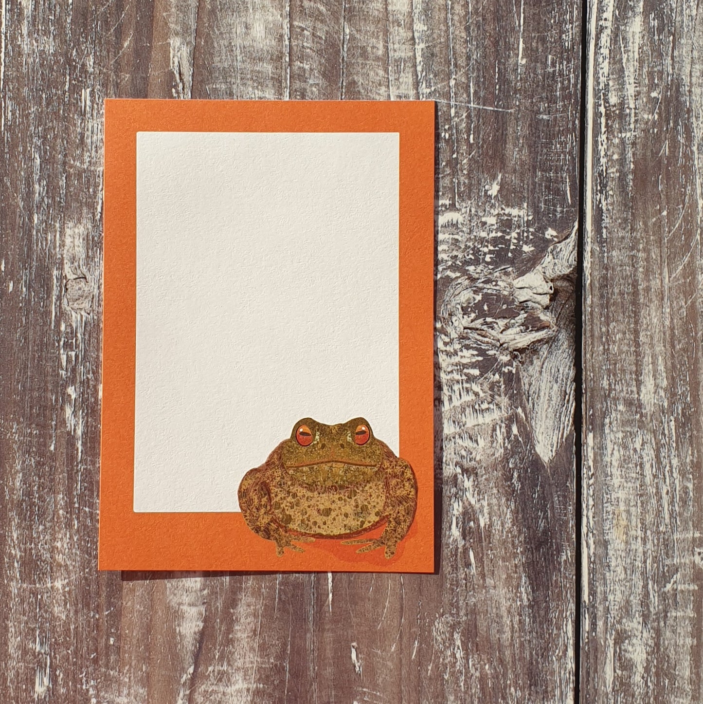 Frog and Toad Gift Notes