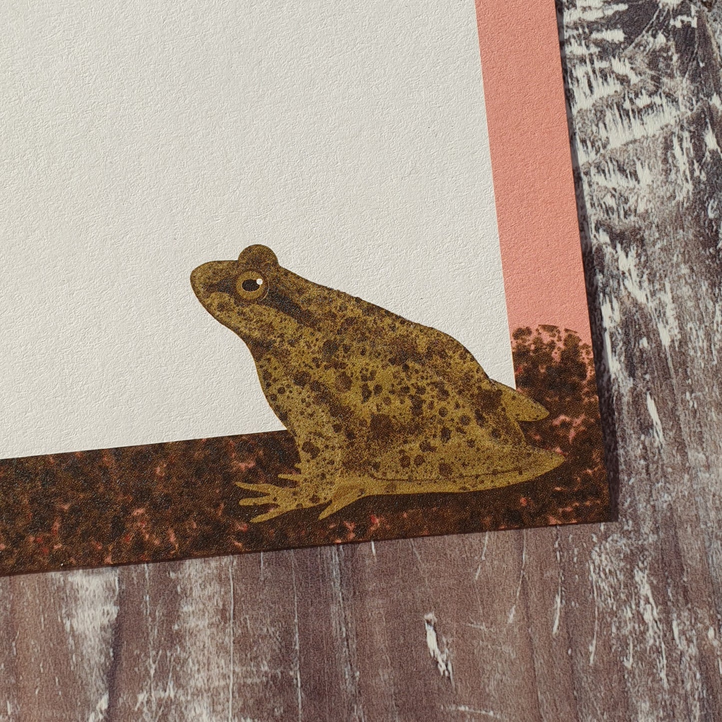 Frog and Toad Gift Notes