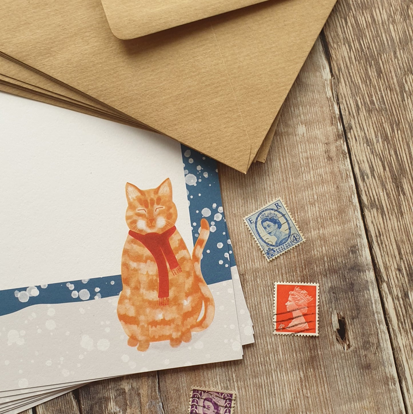Ginger Cat in the Snow A5 Writing Paper Set