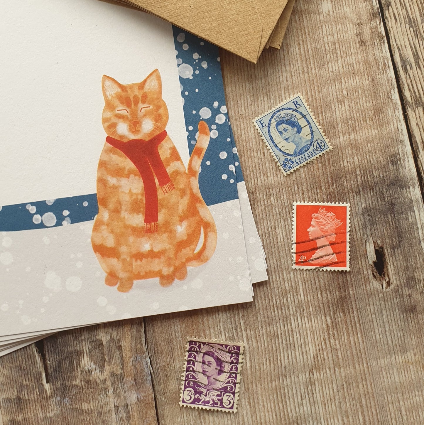Ginger Cat in the Snow A5 Writing Paper Set