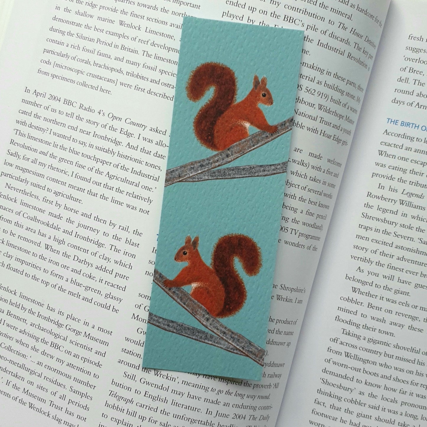 Red Squirrel Bookmark